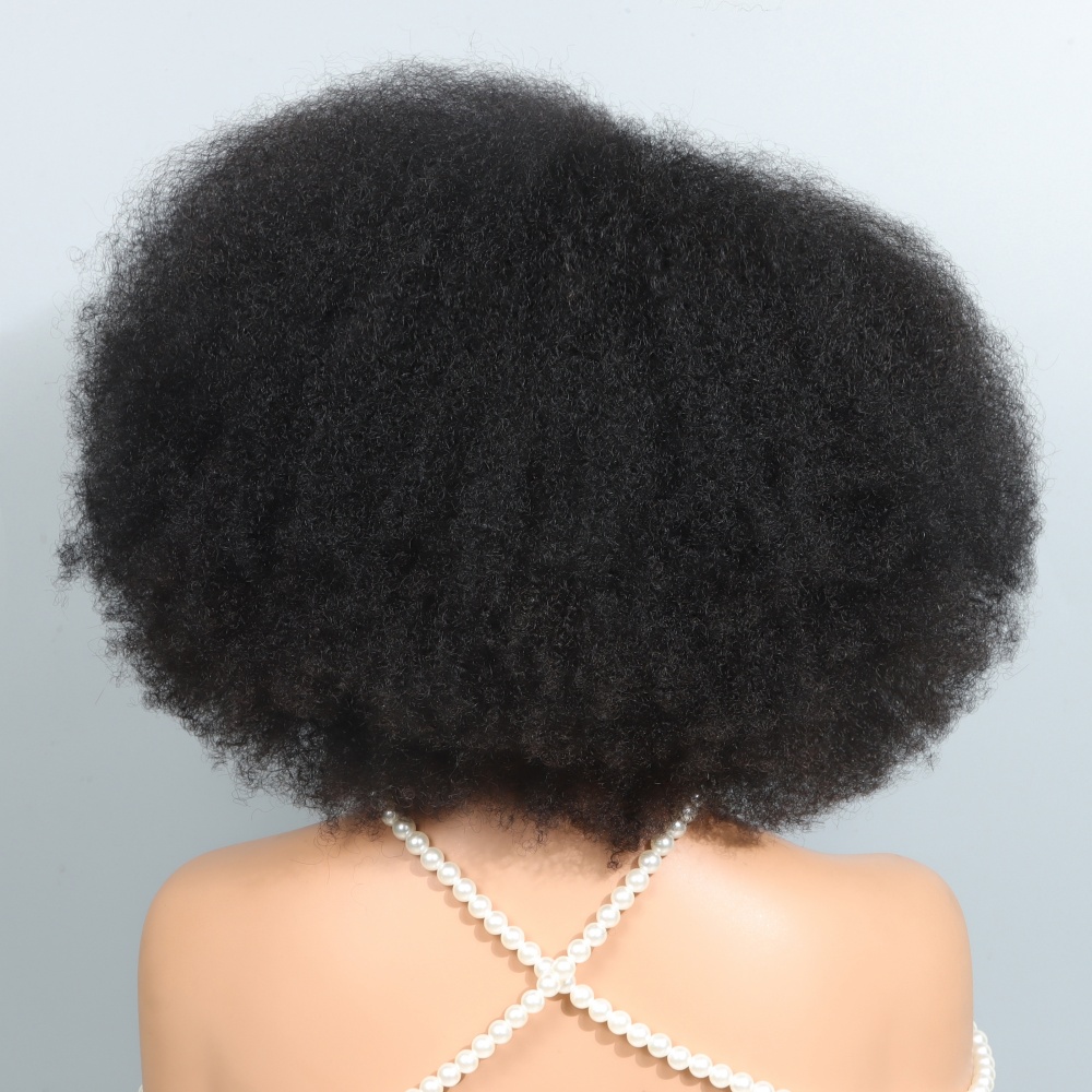 14インチのアフロウィッグ、黒人女性用縮れ毛カーリーレースフ - Glueless Wear And Go Human Hair Wig のレビューと価格